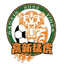 Chongqing Gaoxin Tiger