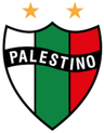 بالستينو النسائي