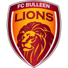 Bulleen Lions (W)