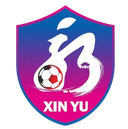Xinyu Team
