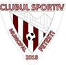 CSM Fetesti