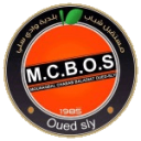 مستقبل شباب وادي سلي