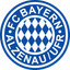 Bayern Alzenau