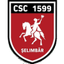 ACS Viitorul Selimbar