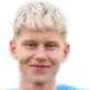 aron heimisson