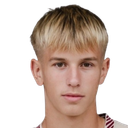 Dominik Dobis