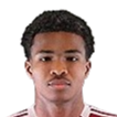 Nasser Adil Babiker