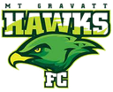 MT Gravatt Hawks