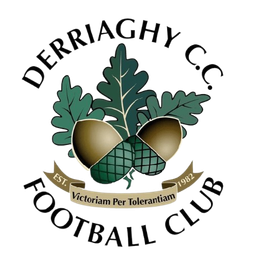 Derriaghy FC Derriaghy FC