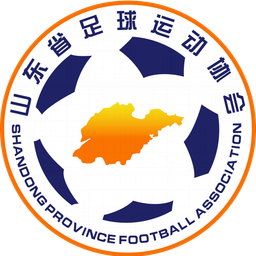 Shandong U20 Shandong U20
