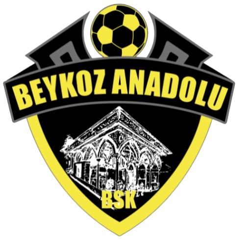 Tuzlaspor