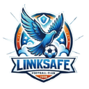 Ji'nan Linksafe