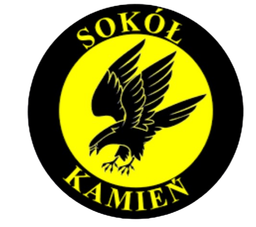 Sokol Kamien Sokol Kamien